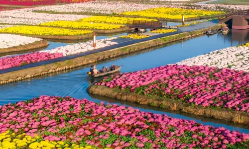 Qianduo (Raised Wetland Fields) Scenic Area