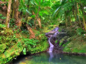 El Yunque National Forest