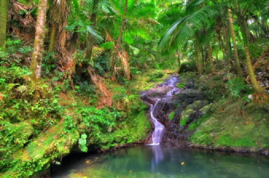 El Yunque National Forest