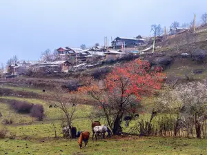 中查溝