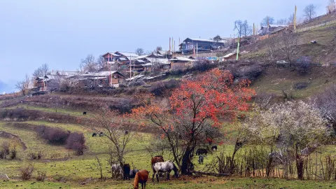 중사구(중차구) attraction in 주자이거우