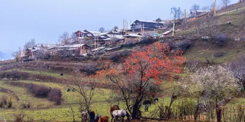 中查溝