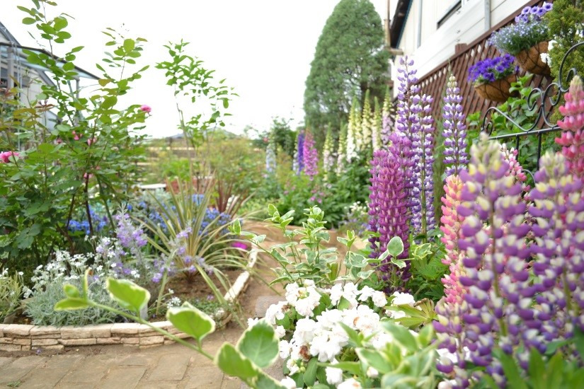 Ichihara Open Garden 2026 | Ichihara