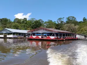 Parque Ecologico Janauari