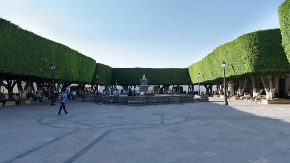 Guerrero Garden