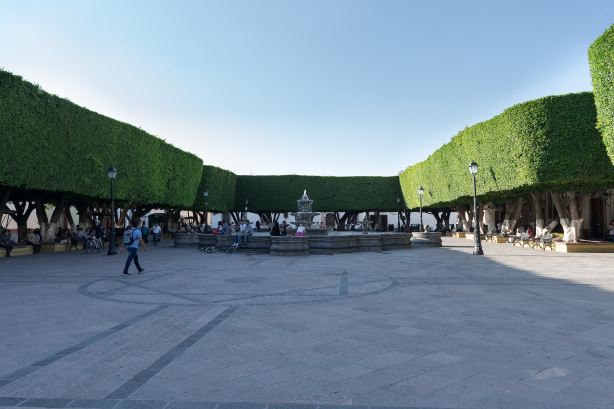 Guerrero Garden