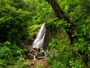 앰볼리 메인 워터폴