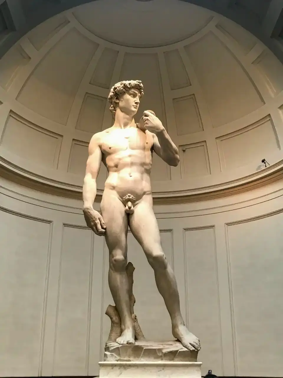 5_David