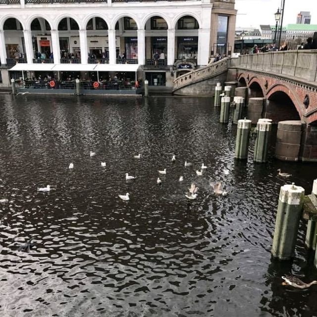 《旅行推介》德國漢堡