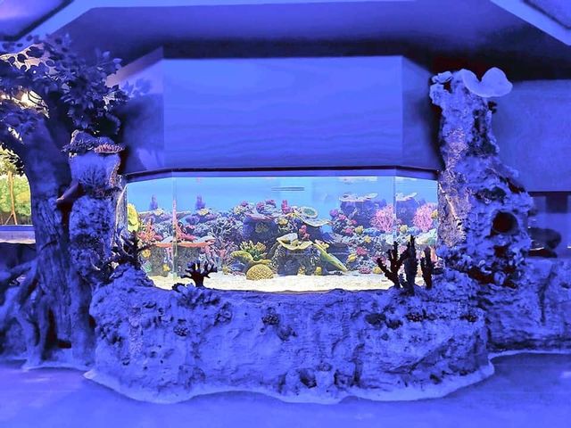 Ocean Park Cebu