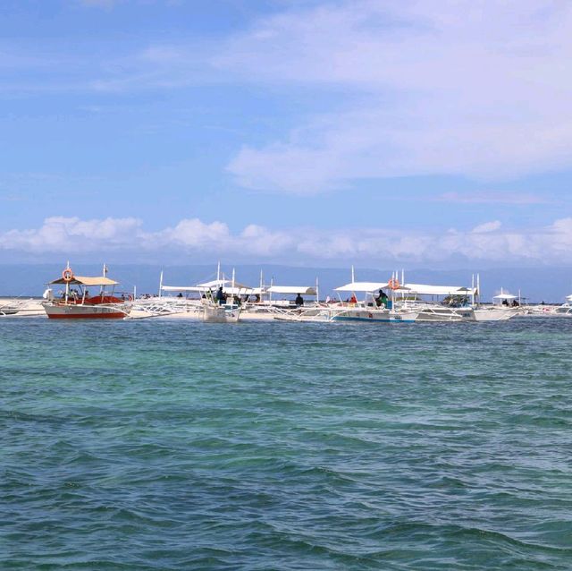 Sandbar at Virgin Island Bohol