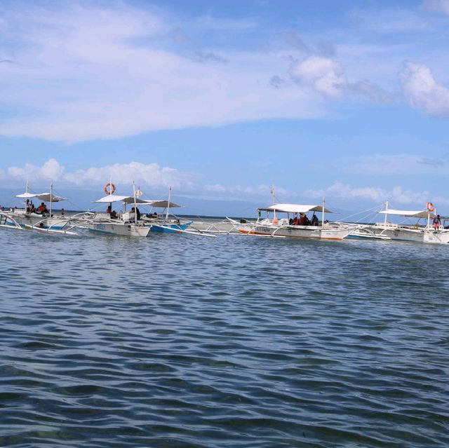 Sandbar at Virgin Island Bohol