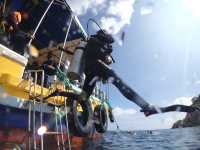 ดำน้ำ Scuba Open Water