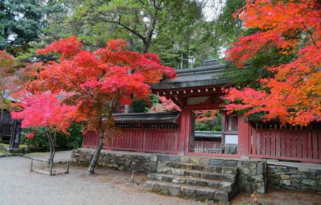 Saimyoji Attractions Kyoto Travel Review Travel Guide Trip Com