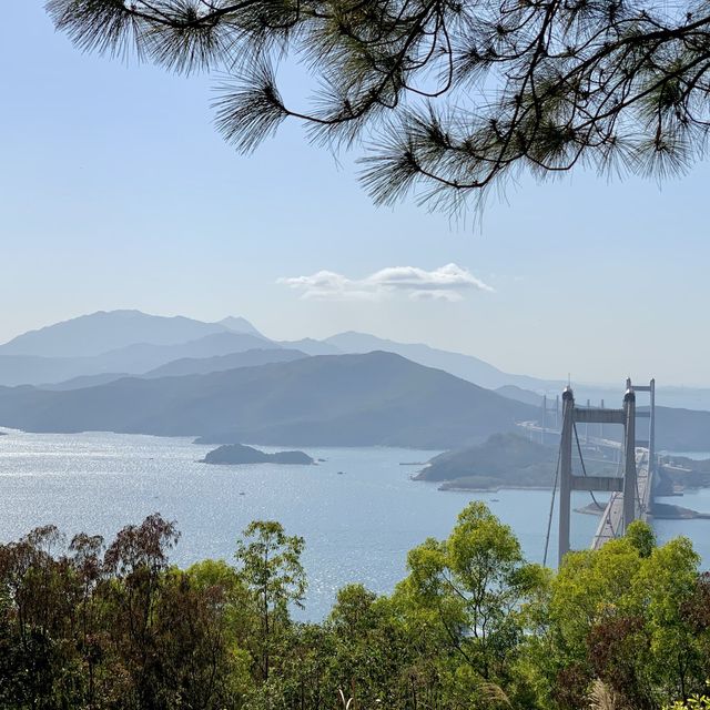 山頂上的超靚景觀 好像飛上天空一般的樹上千秋