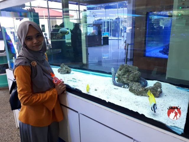 Pusat Ikan Hiasan Attractions Port Dickson Travel Review Travel Guide Trip Com