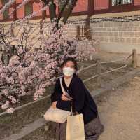 [종로] 경복궁