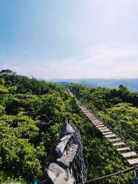 Rainforest hiking adventure