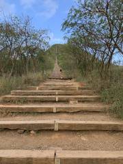 Koko Crater Stairs (Summit)