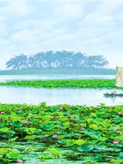 Weishan Lake Wetland Honghe Scenic Area