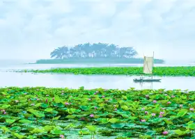 Weishan Lake Wetland Honghe Scenic Area
