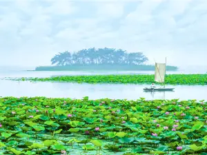 Weishan Lake Wetland Honghe Scenic Area