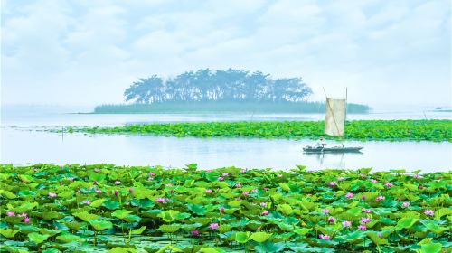 Weishan Wetland Park