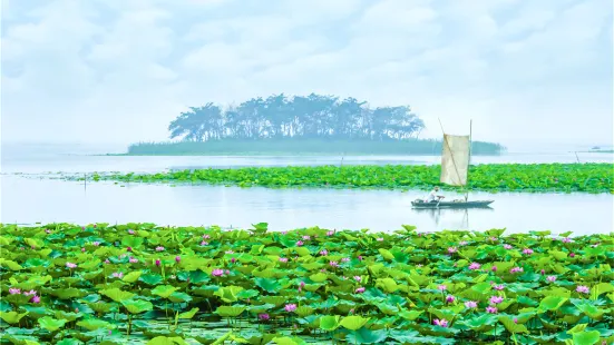 Weishan Wetland Park