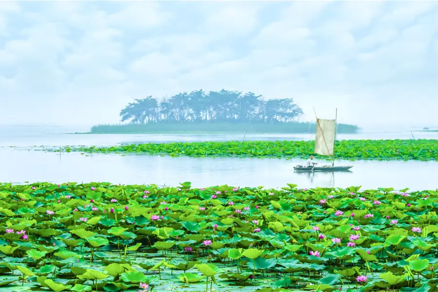 Weishan Lake Wetland Honghe Scenic Area