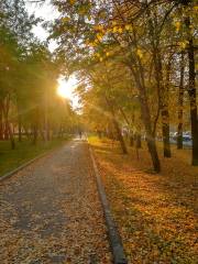 咸陽市駿河森林公園