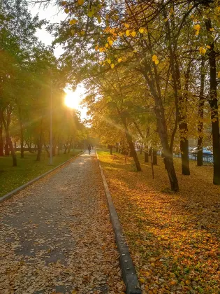 Отели рядом с достопримечательностью «»