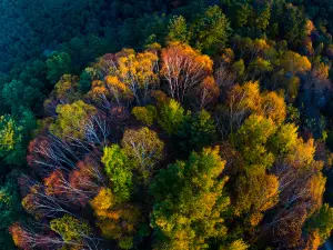 Wuying National Forest Park