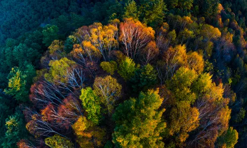 Wuying National Forest Park