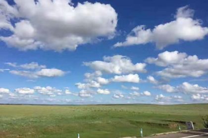 希拉穆仁草原扎日格牧民家餐包