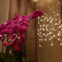 Hyatt Hotel·Market Cafe Coffee Shop User Photo