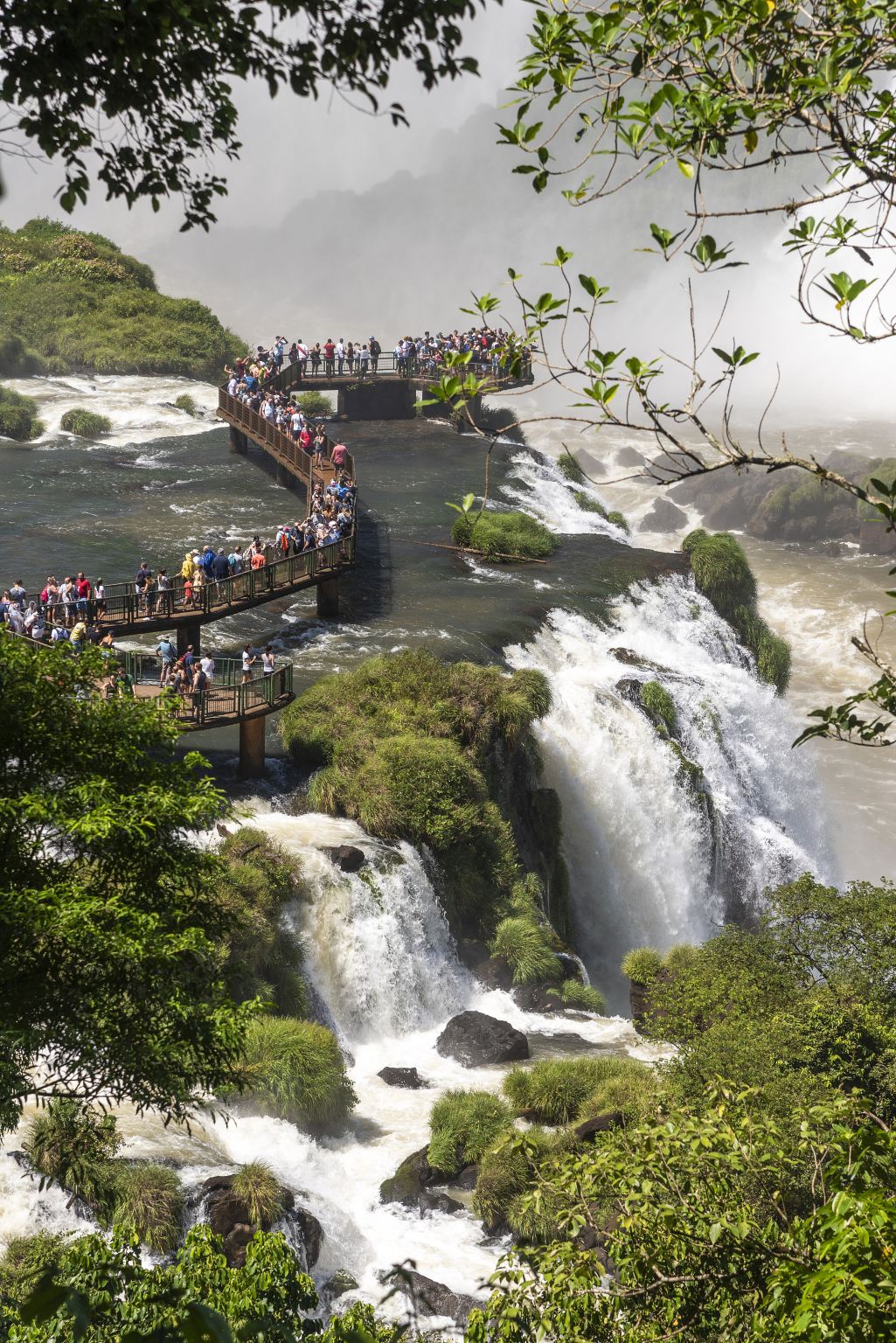 Однодневный тур к водопадам Игуасу из Аргентины или Бразилии - частный тур/посещение обеих сторон водопадов