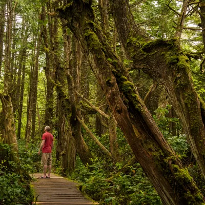 Для бизнес-поездок Отели в г. Намчеджу