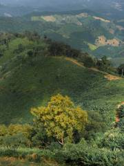 Jiulong Shan Guojia Senlin Gongyuan Huanghua Mountain Sceneic Area