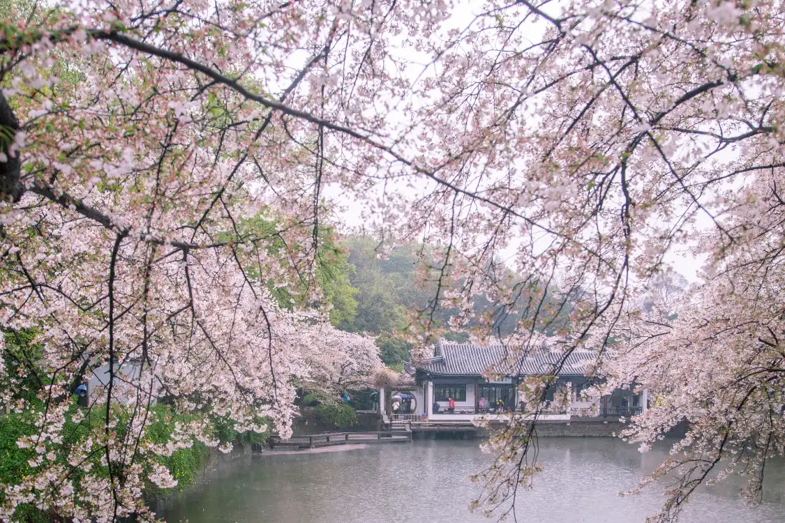 Hotel in zona Best Place of the Taihu Lake
