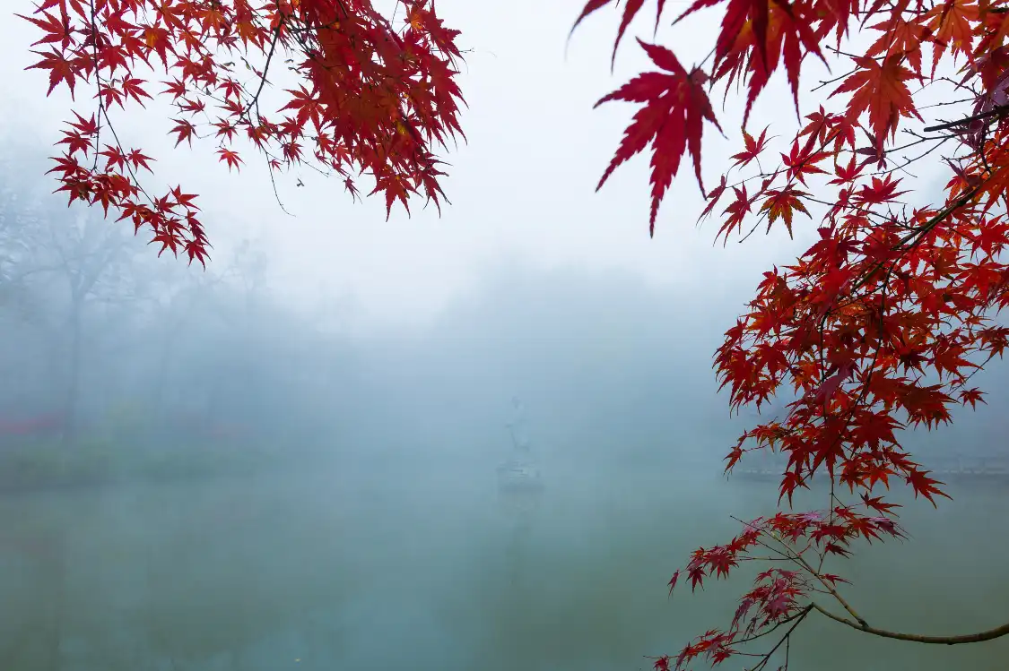 야오장 공원 주변 호텔
