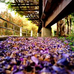 双溪茶室(南昆山店) User Photo