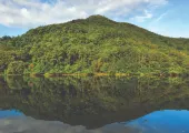 【郊遊好去處】香港仔水塘、藍地水塘輕鬆行 8大水塘行山路線