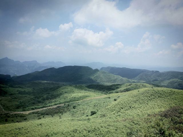螺絲殼