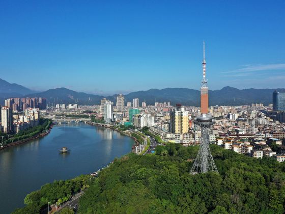 茶山公園