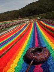 野趣樂園