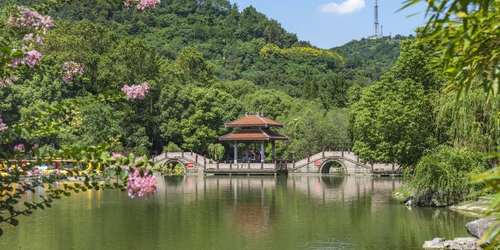Zhi Mountain Park
