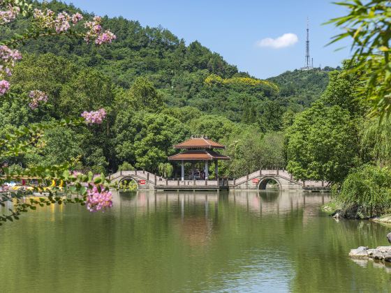 峙山公園