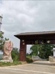 Ancient Tea Garden in Jiu'an Township