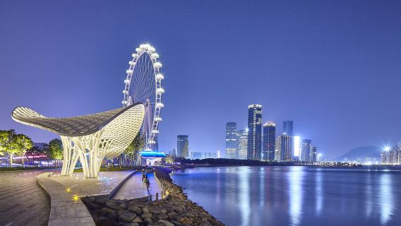 深圳博物館+仙湖植物園+灣區之光摩天輪一日遊【親子/家庭遊】