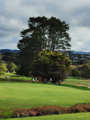 Maungakiekie Golf Club